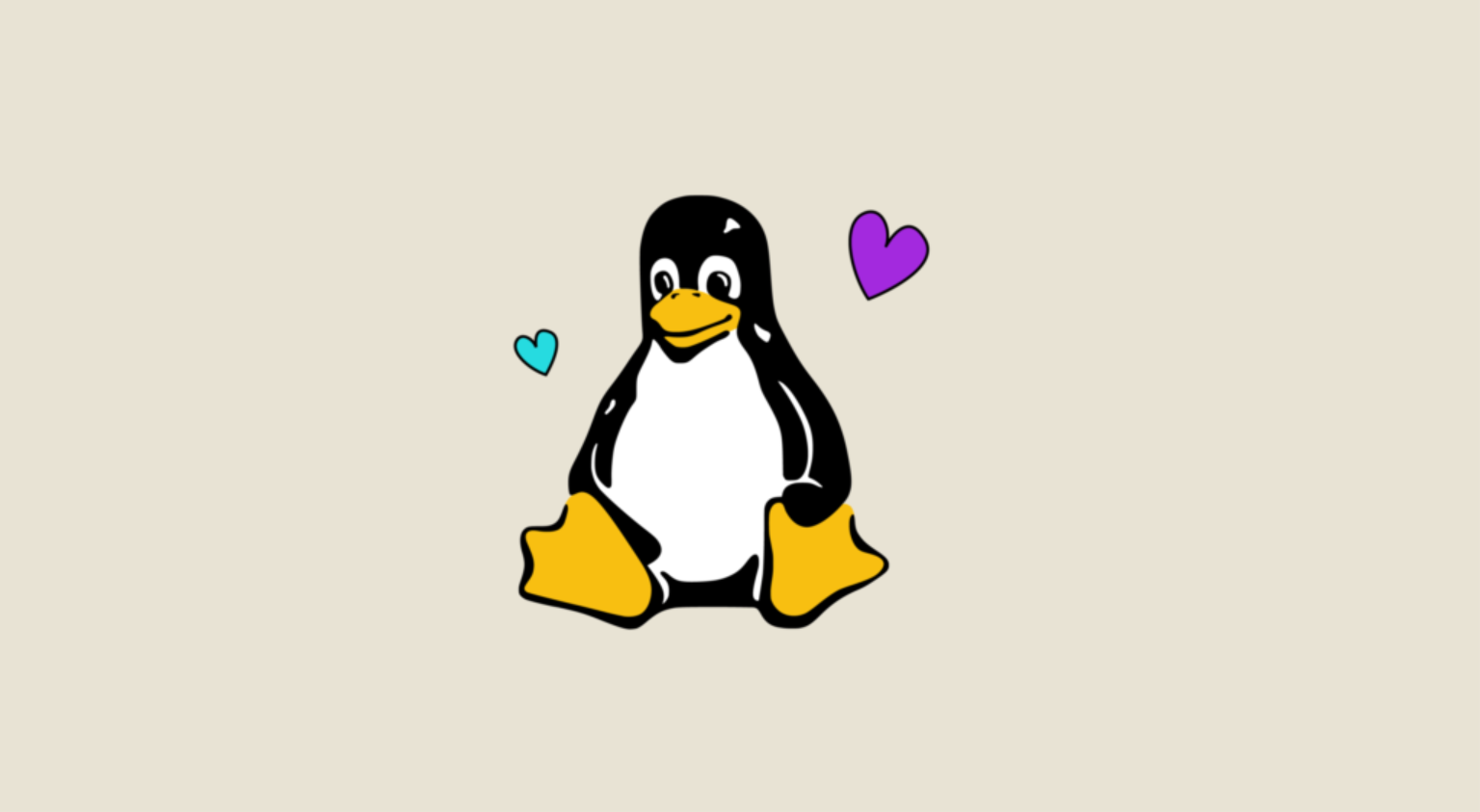 Linux Shell 入门教程
